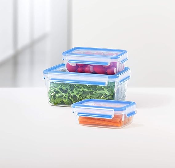 Container Closing Food Emsa Clip & Close Rectangular Food Storage Container 3pc Set – Adams